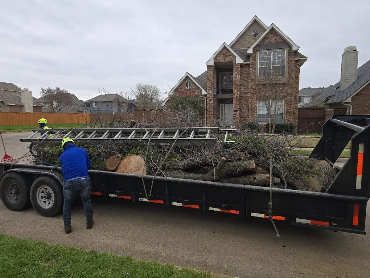 Expert Tree Fertilization with proper safety equipment in South Haven